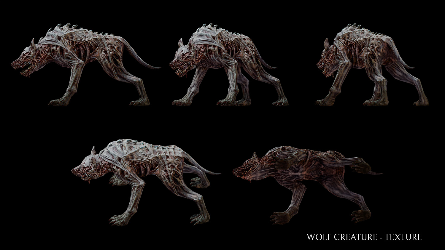 Wolf Creature - Texture